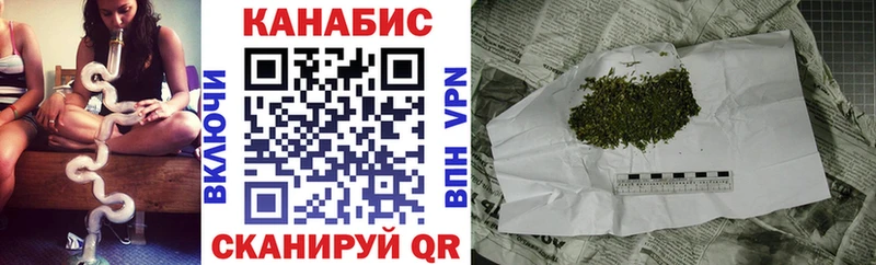 Бошки марихуана OG Kush  Купить закладки  Гвардейск 